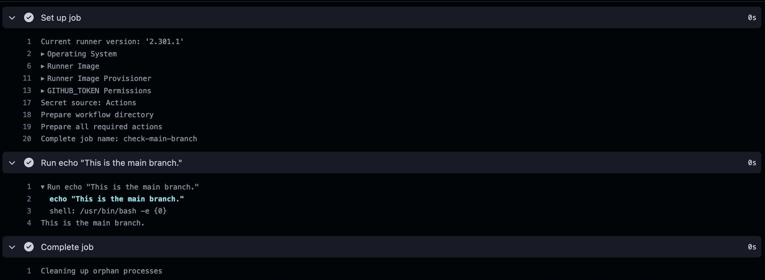 Conditional GitHub Actions Job Entbit By Niklas Metje